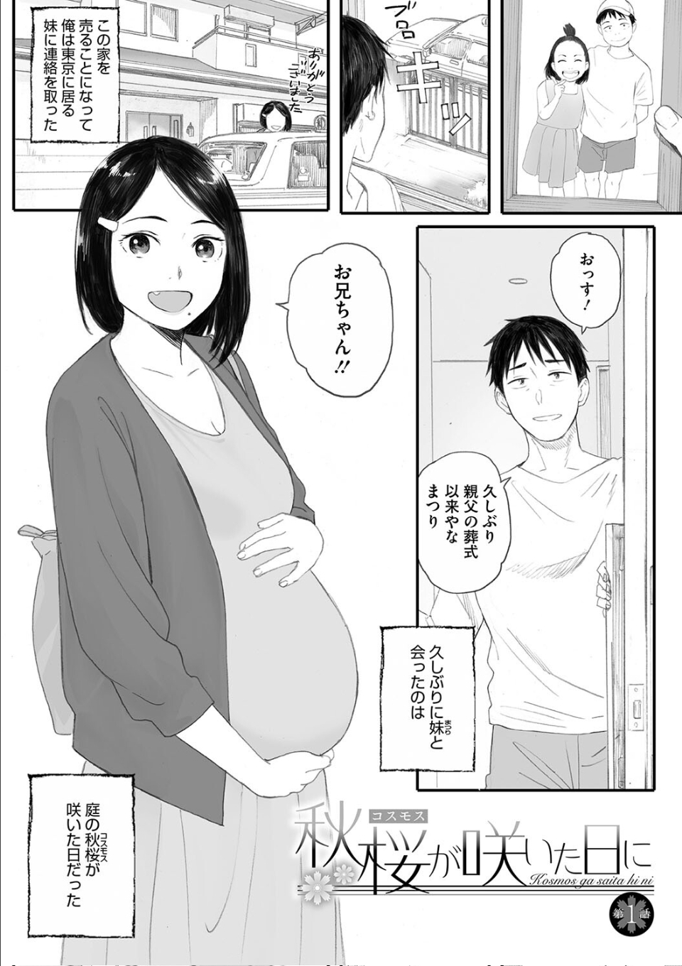 秋桜が咲いた日に 画像1