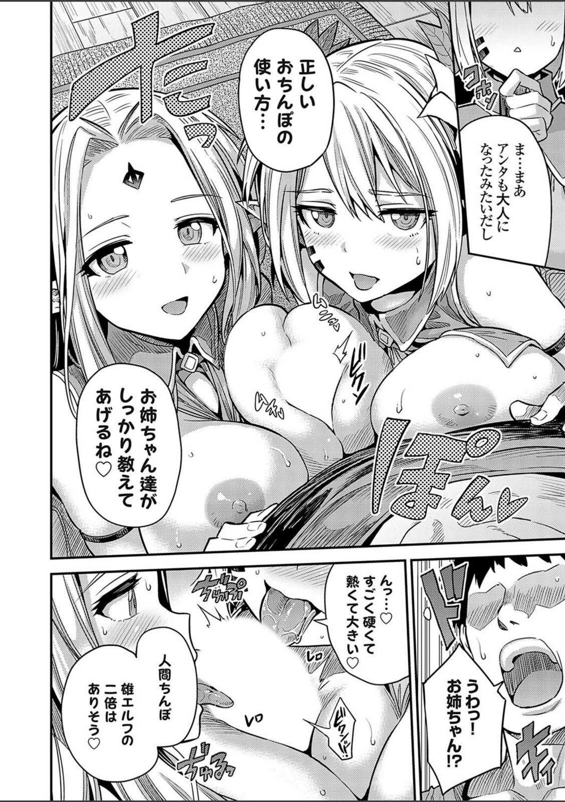 ヤろう系ファンタジー ボテハラクエスト2 エルフ姉妹と孕ませの森【日月ネコ】 画像8