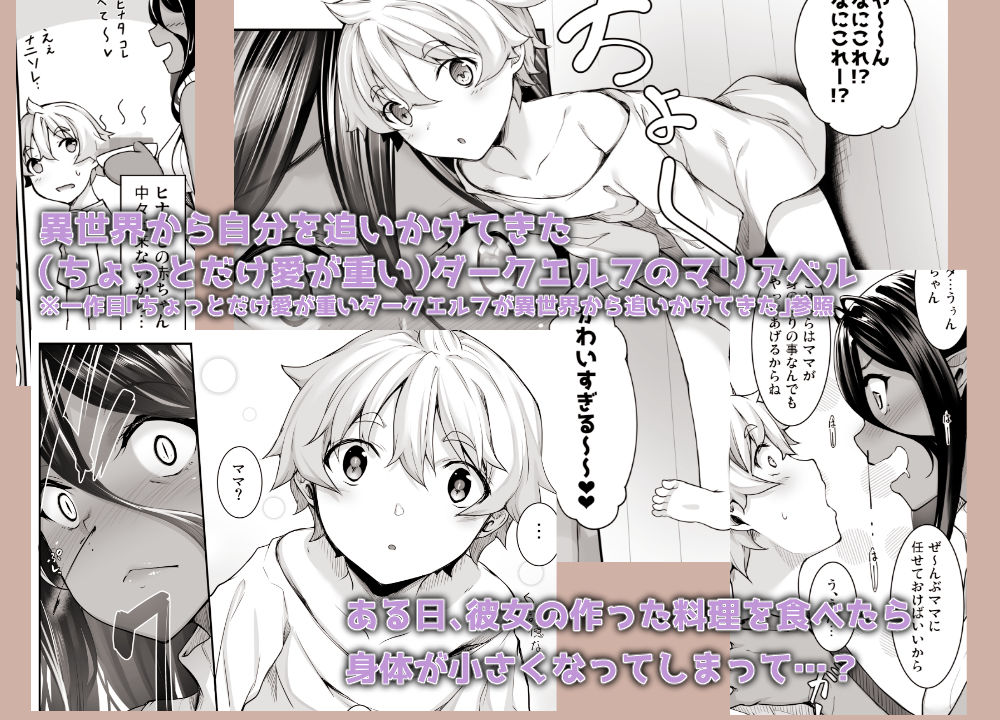 ちょっとだけ愛が重いダークエルフが異世界から追いかけてきた3【In The Sky】【中乃空】 画像1