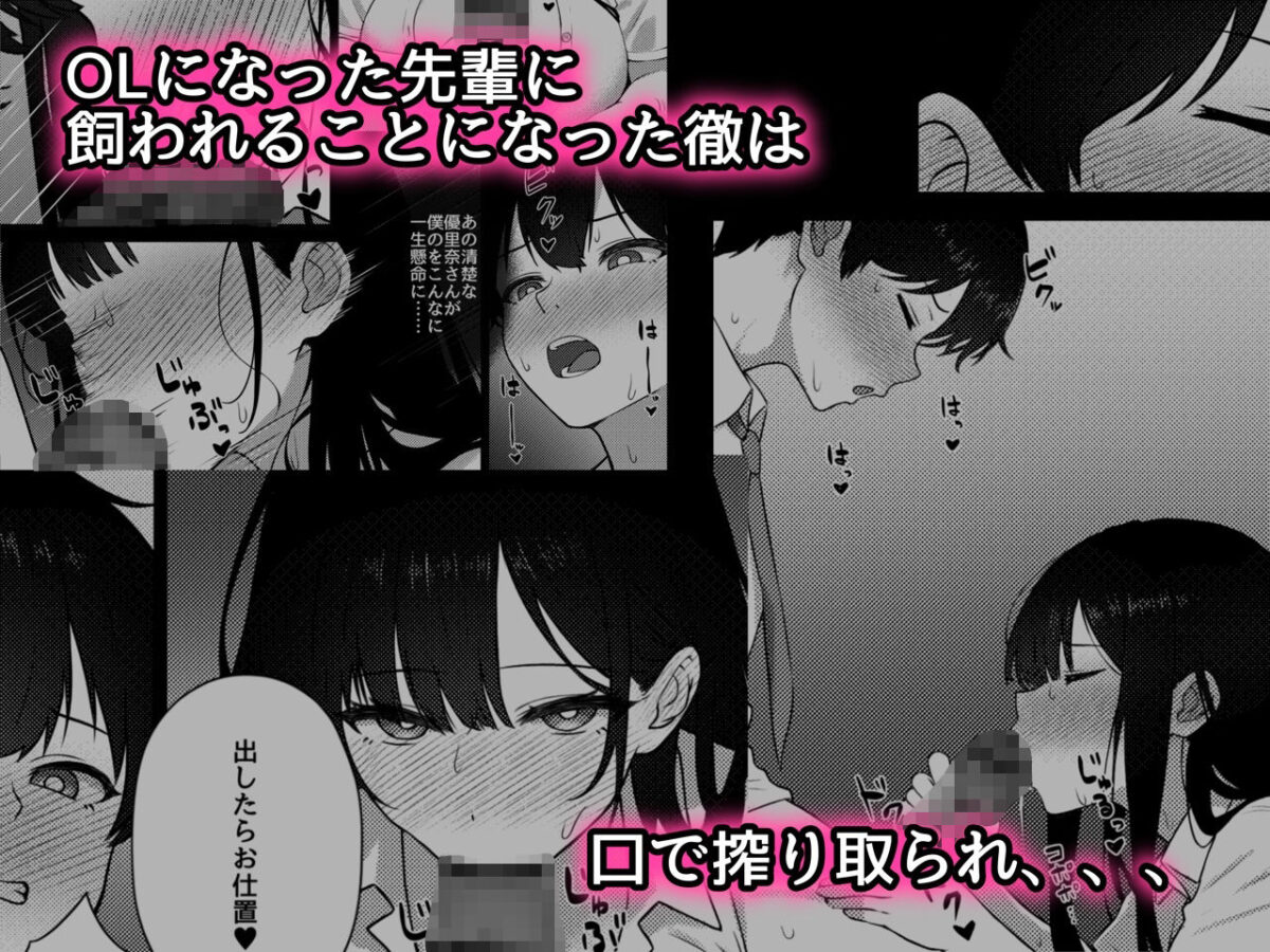 OLに飼われることになりました〜清楚系OL編〜【rimi】 画像2