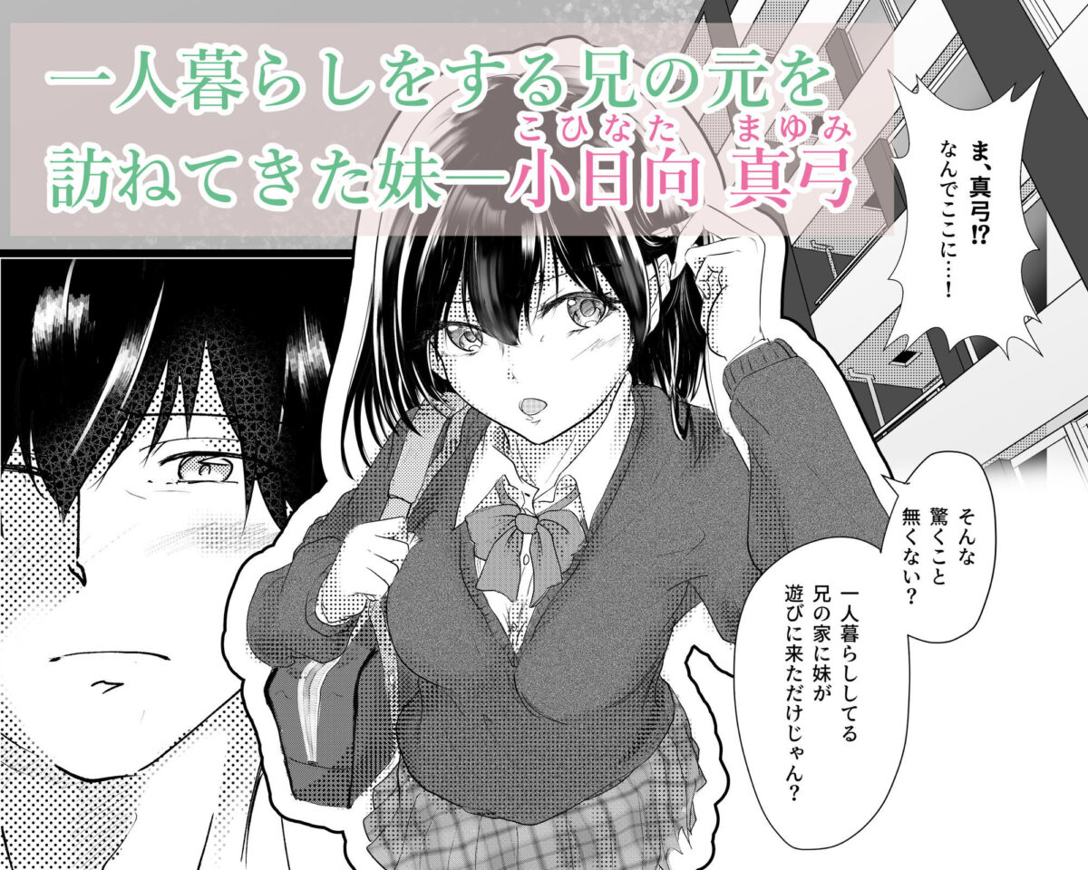 わたしたちおかしいんだよ お兄ちゃん  ―常識から外れてもあなたが欲しい―【ミツバチのキャンバス】【たびぃ】 画像2