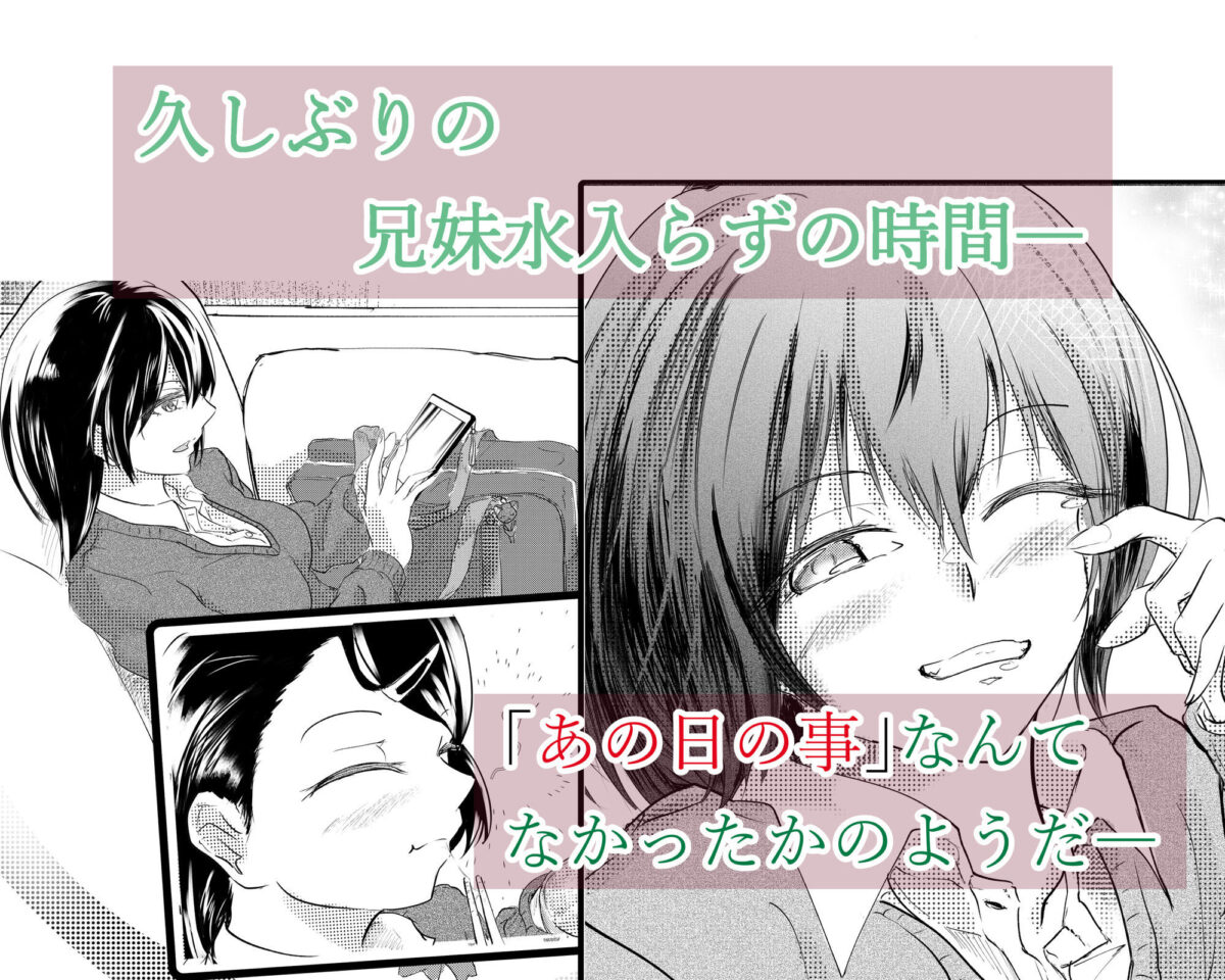 わたしたちおかしいんだよ お兄ちゃん  ―常識から外れてもあなたが欲しい―【ミツバチのキャンバス】【たびぃ】 画像3