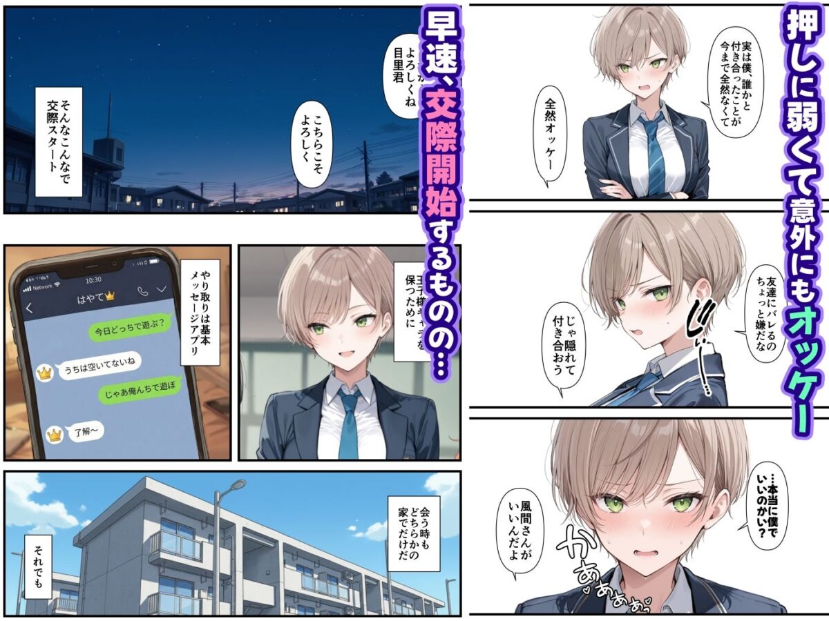 王子様の雌を俺だけが知っている【ものおきごや。】 画像2