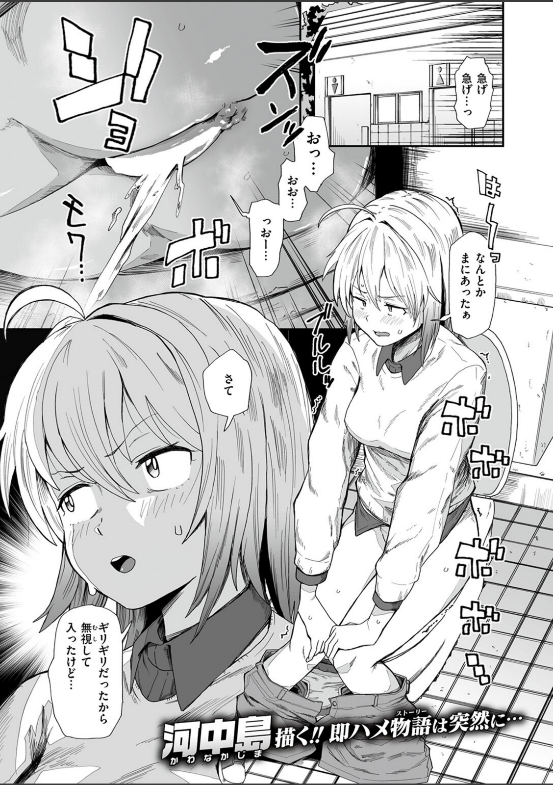 公衆トイレとディルドと変態と私【河中島】 画像1