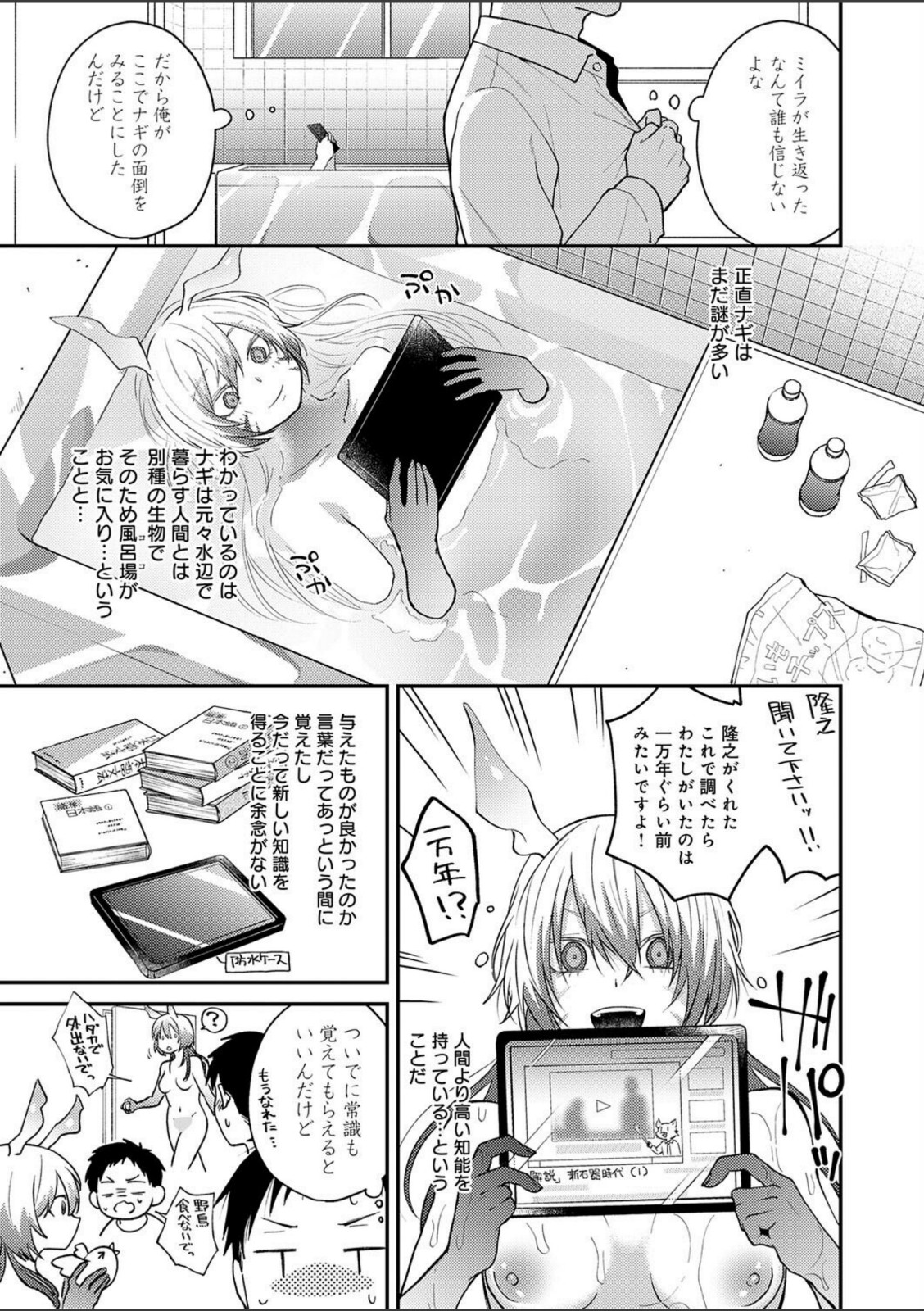 この意味を教えて【縞浦】 画像5