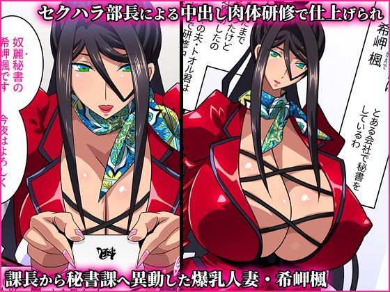 希岬楓 2 -爆乳人妻秘書の中出し肉体接待/媚薬潮吹き射乳アクメ-【スタジオみずよーかん】【東戸塚らいすた】 画像1