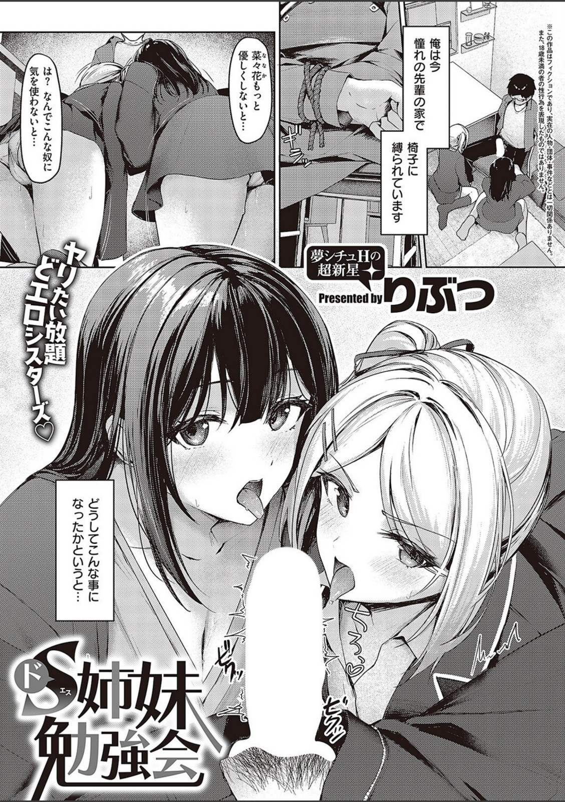 ドS姉妹勉強会【りぶつ】 画像1