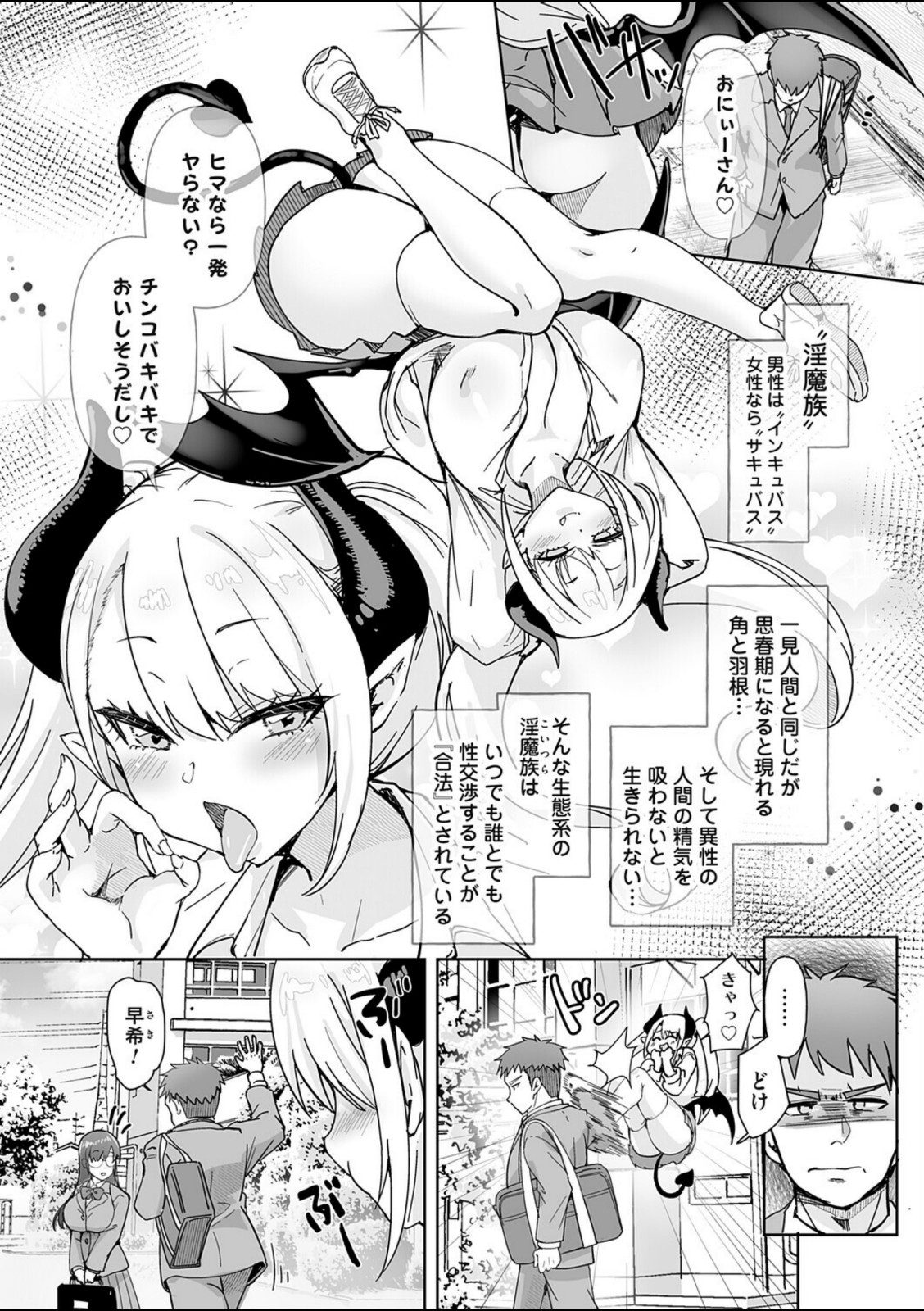 サキュバスだらけの世界で俺たちは…【こうきくう】 画像1