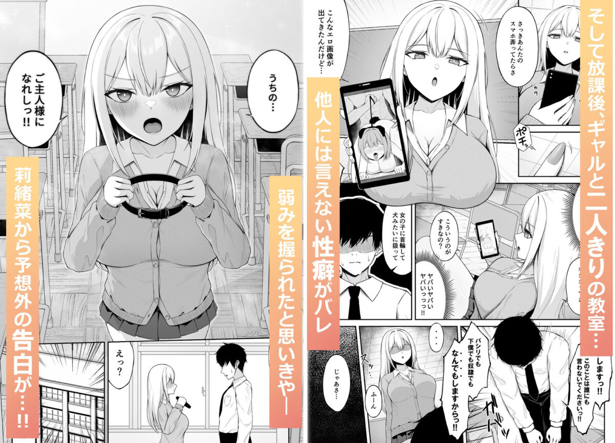 クラスの一軍ギャルは俺のかわいいペット【ちぇるちぇるぱーく】【れいちぇる】 画像3