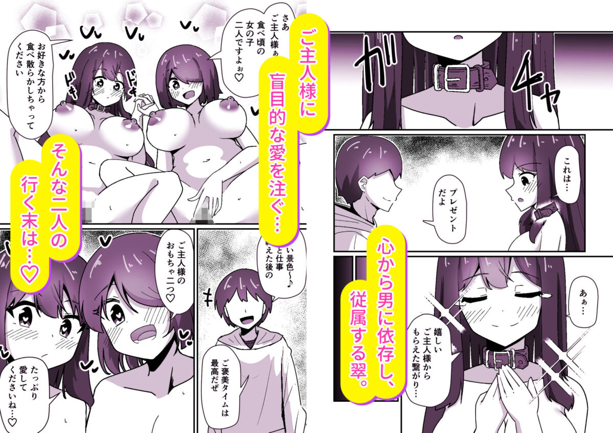 正義の探偵姉妹は催●奴●になりました。【天空ガアドレヱル】【御津波さくら】 画像5
