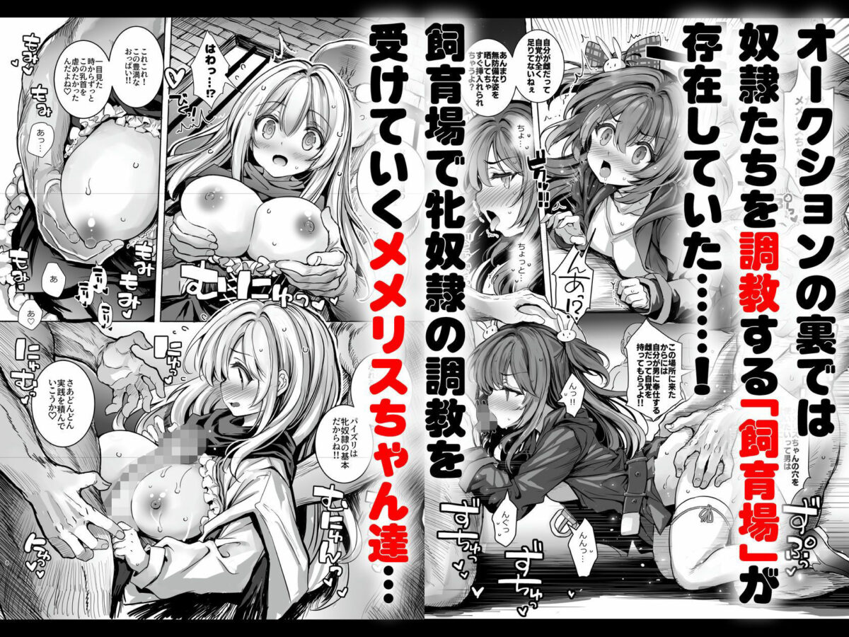 調教監獄に囚われて…正気を溶かし、従属堕ち【メメリスチャンネル】 画像2