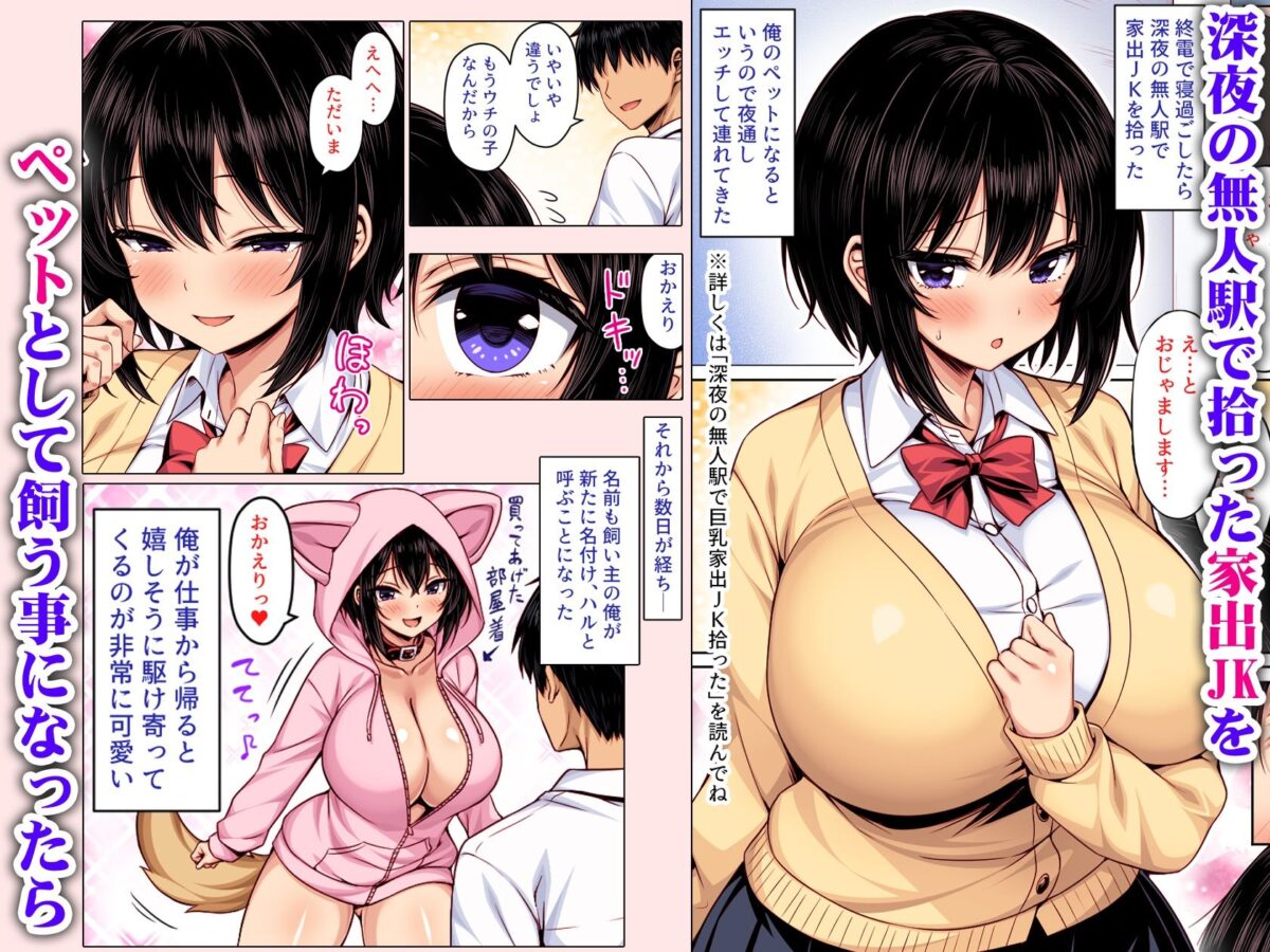 深夜の無人駅で拾った巨乳家出JKの飼い主の日常  カラー版【一億万軒茶屋】【2-G】 画像1