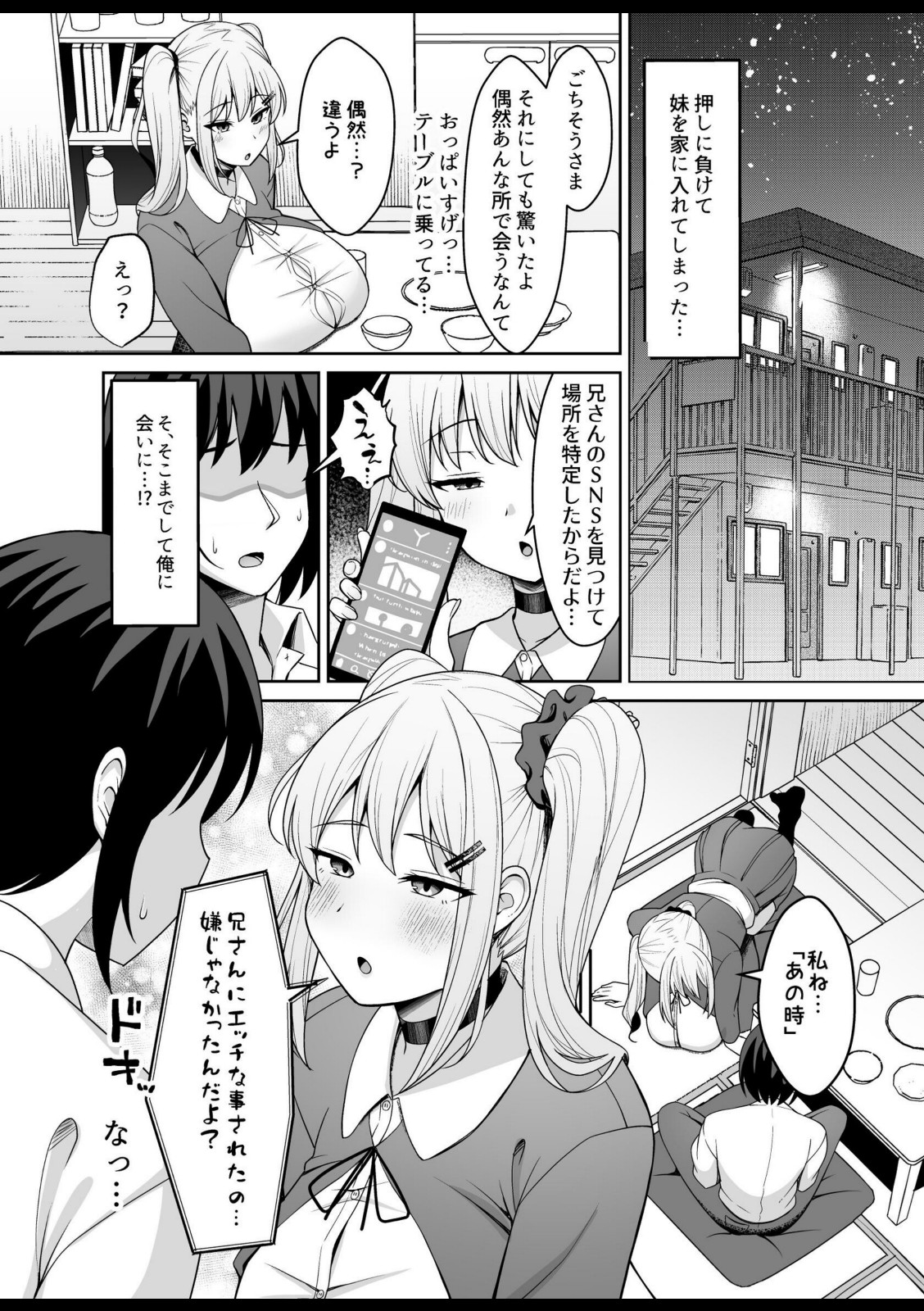 兄ラブ高湿度長乳妹に迫られて孕ませちゃう話【電子版】【ねこじまさき】 画像4