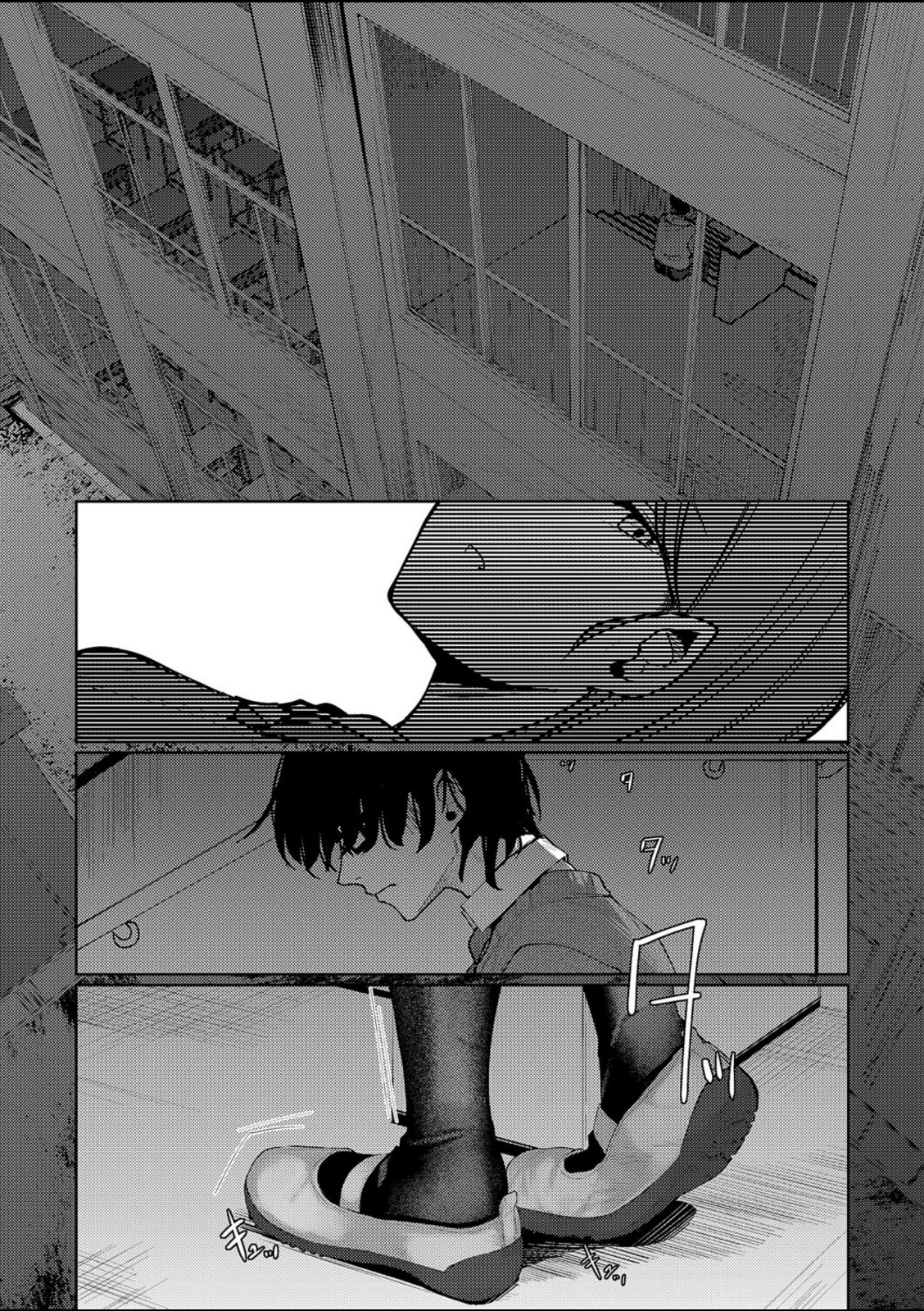 青灯に集う【白菊】 画像6