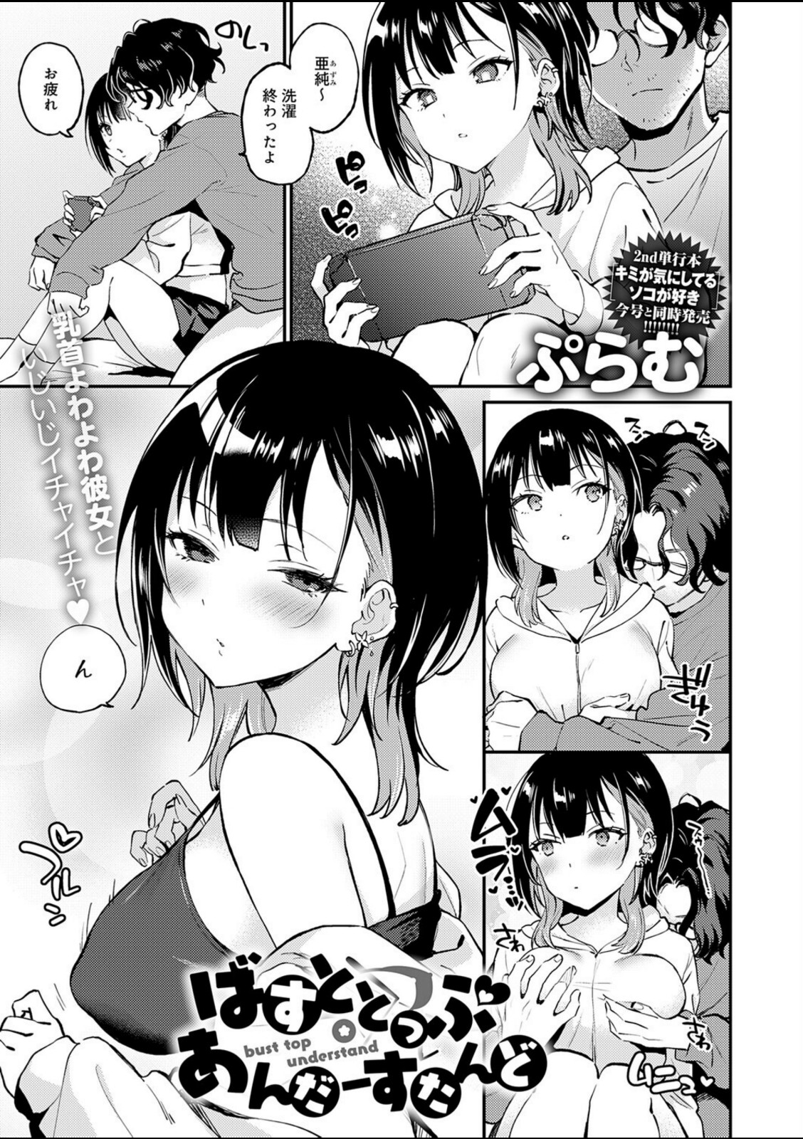 ばすととっぷ・あんだーすたんど【ぷらむ】 画像1