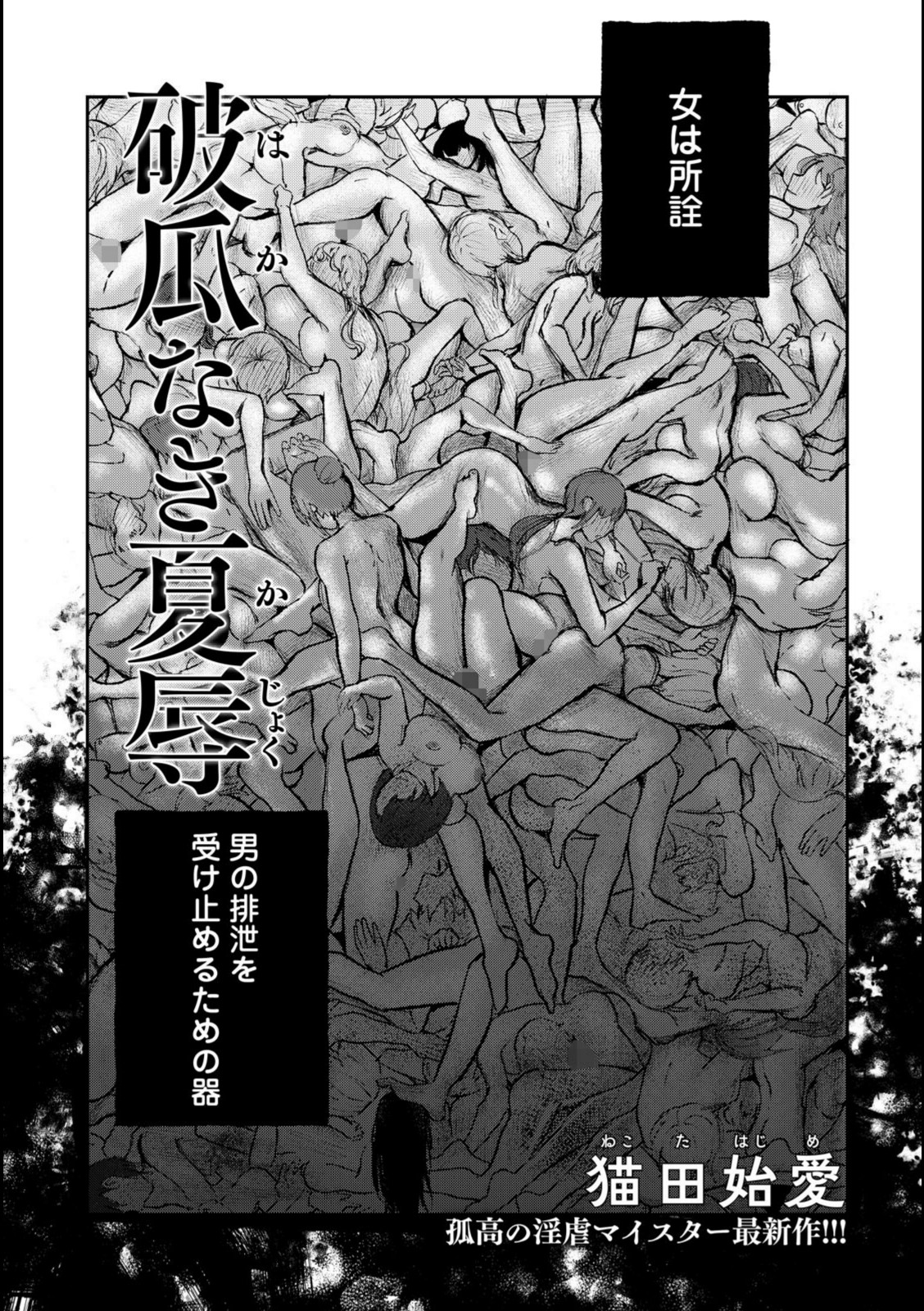 破瓜なき夏辱 【猫田始愛】 画像1