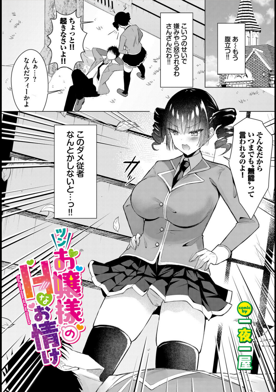 ツンお嬢様のHなお情け【一夜一屋】 画像1