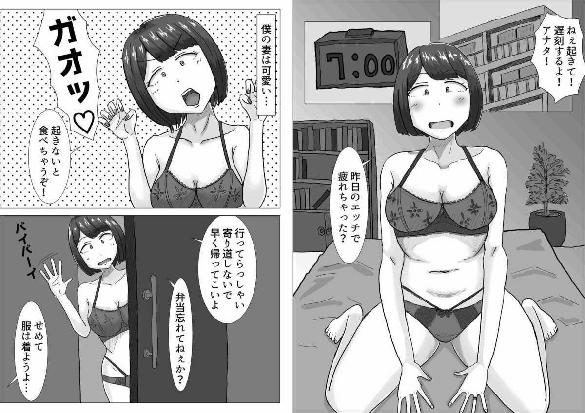僕の可愛い妻を寝取らせたい2【オシナガキ】 画像1