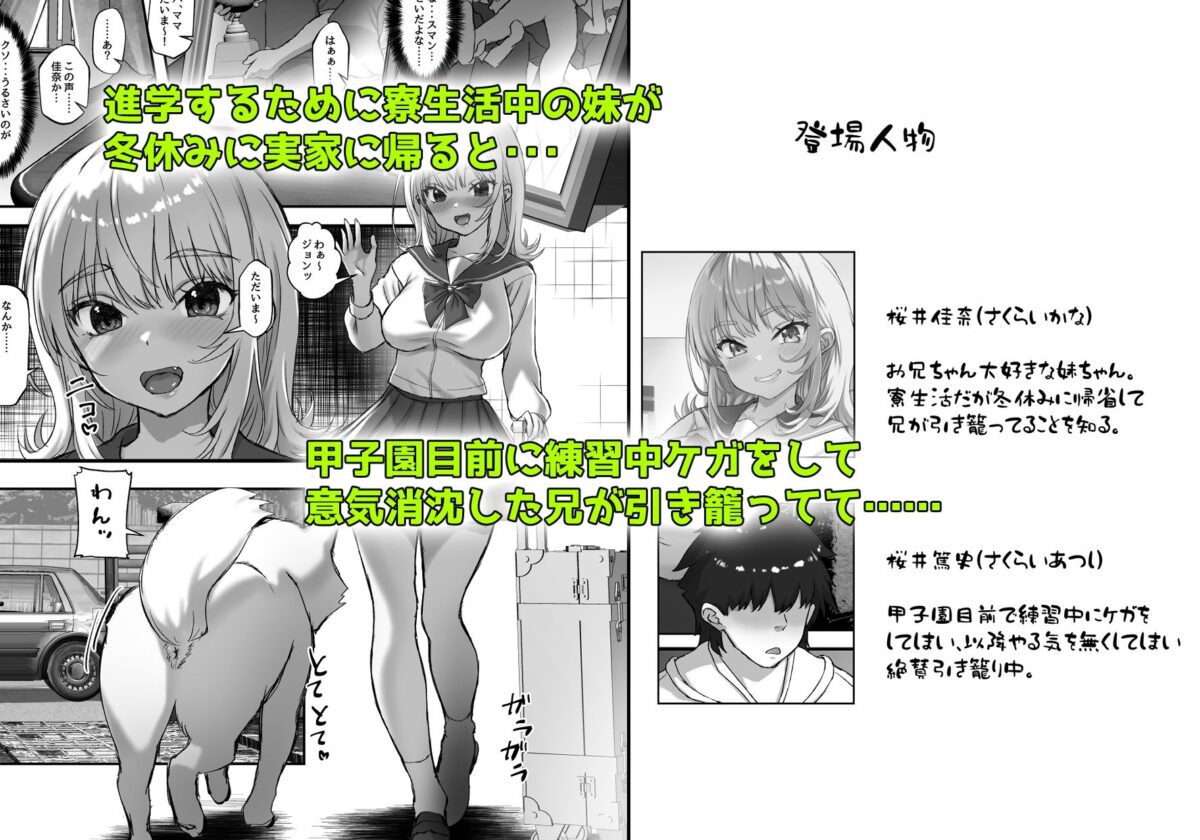 巨乳ちゃんなお兄ちゃん好き好き妹J系がヘタレ兄貴をおま〇こ使って更生させちゃう話。【臓物の盛】【黄桜NоN】 画像1