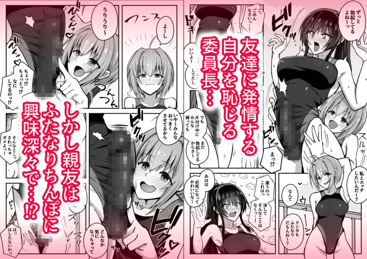 ふたなり委員長は友達に欲情したくない！【竿乙女学園広報部】【ふれしか】 画像2