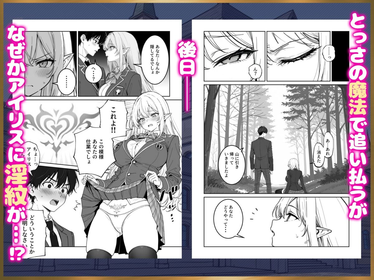 エリートお嬢様エルフが催淫魔法にかかってしまい中出しセックス中毒に！？【ぱにぱに】 画像2