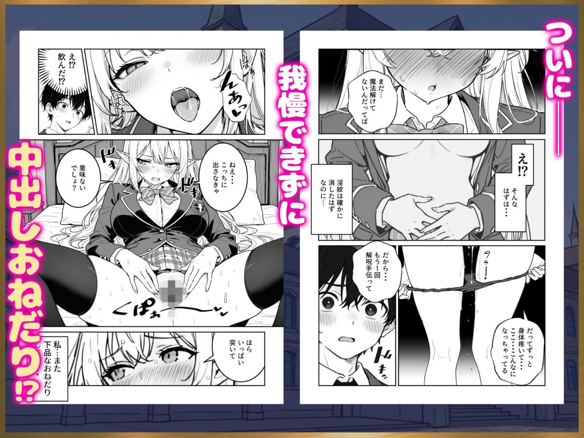 エリートお嬢様エルフが催淫魔法にかかってしまい中出しセックス中毒に！？【ぱにぱに】 画像9