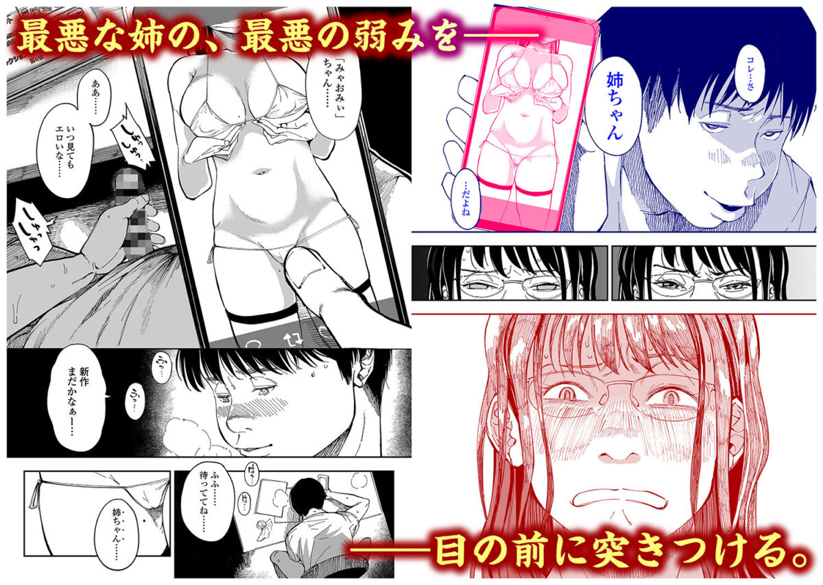 姉貴のエロ垢見つけたら【三崎】【るりいろシュガー】 画像3
