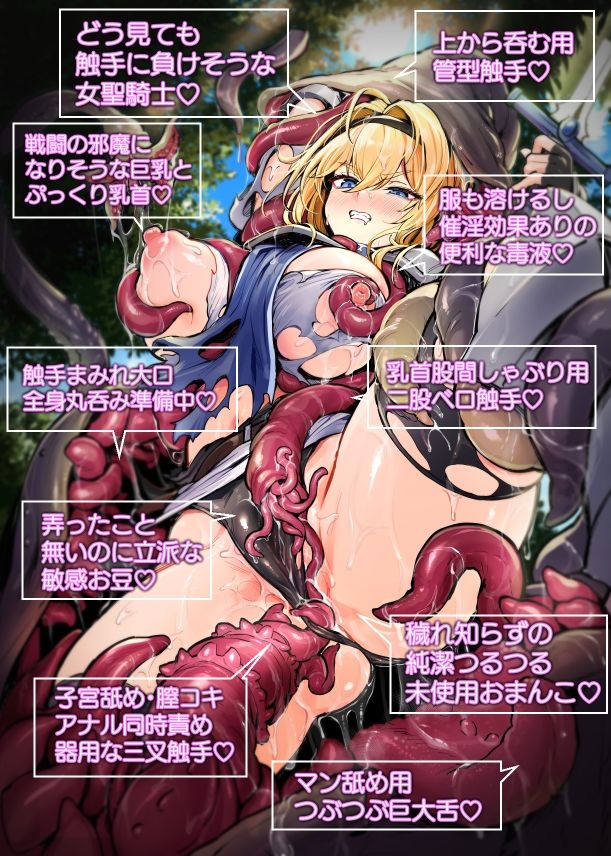 聖騎士様は丸呑み触手のナカ。【波乗りネイビー】【エビネイビー】 画像6