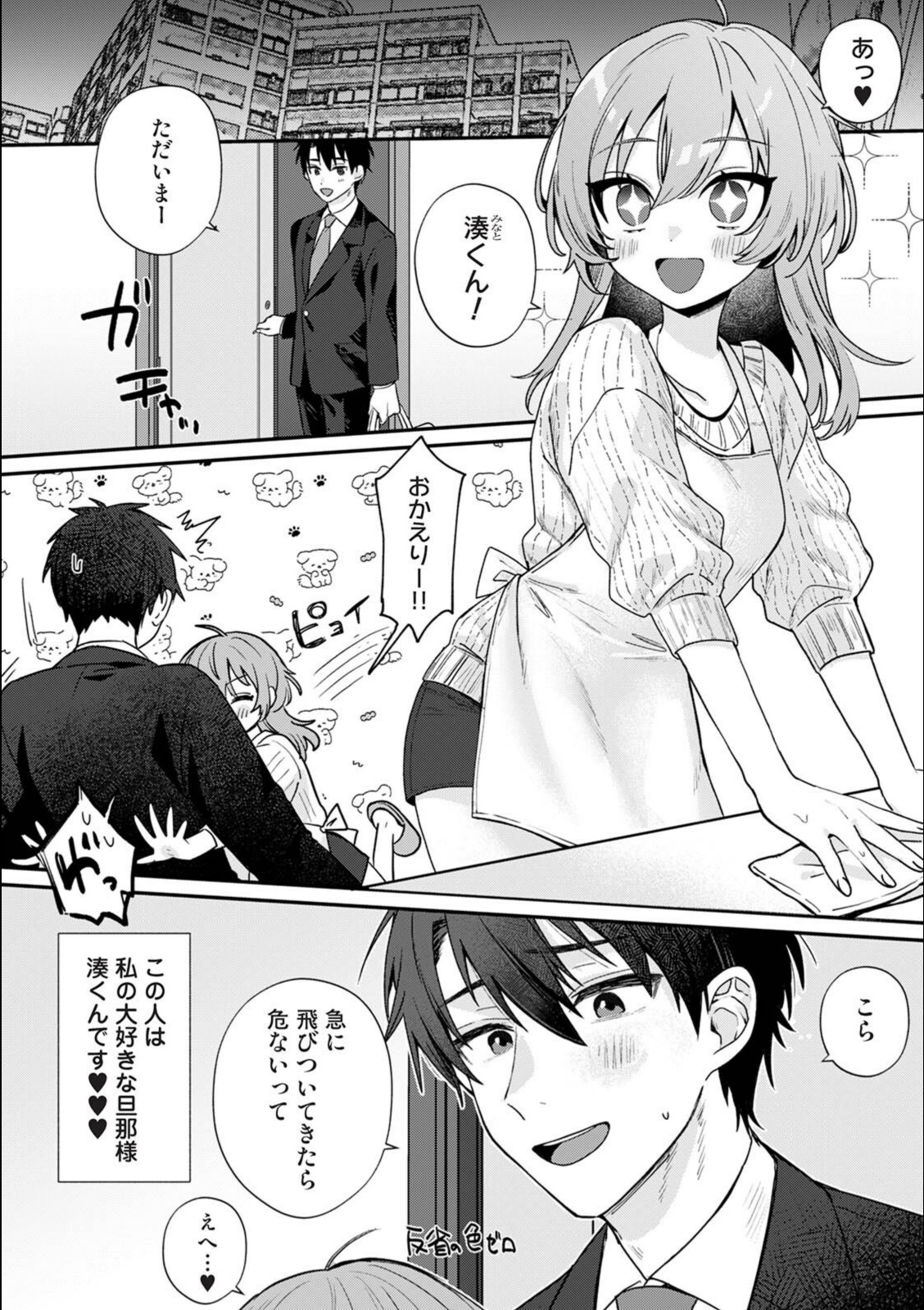 ガマンしないで全部食べてね【ゆきりんご】 画像1