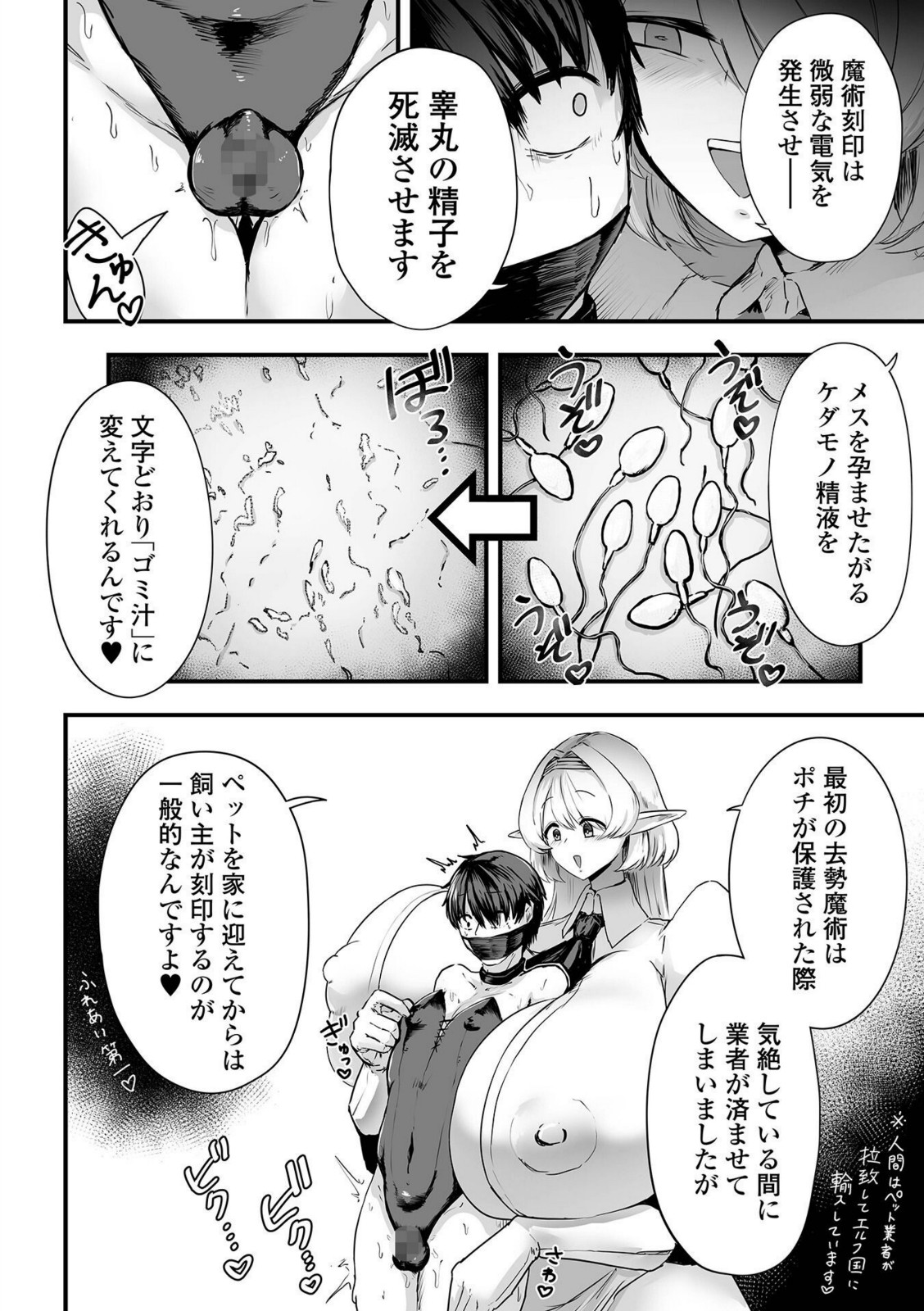 エルフ様の人間愛護管理法 ＃2【あなとなっと】 画像4