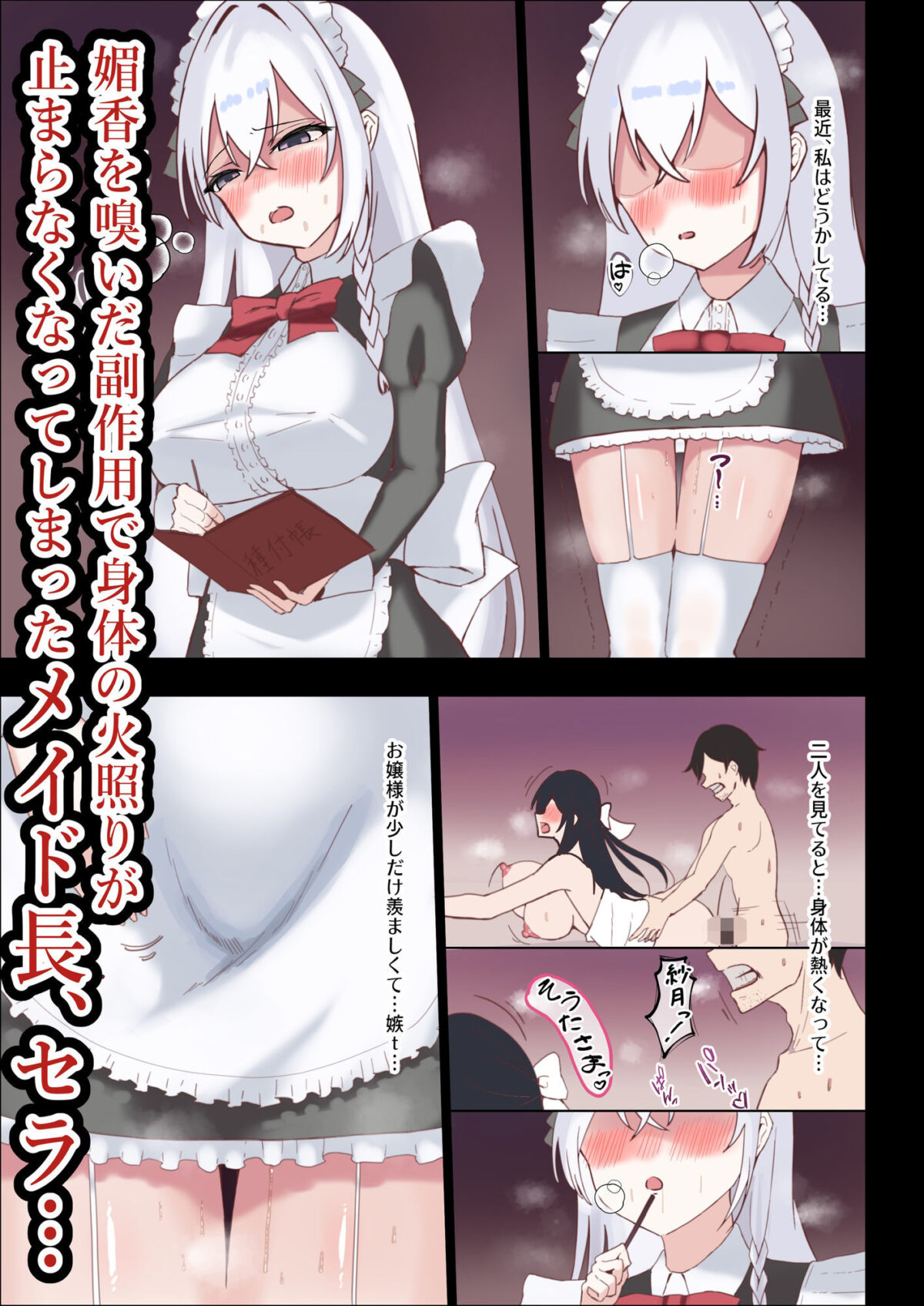 お嬢様の種付役にされた俺は、名家の令嬢を孕ませるほど種付け中出しをしてしまった…3  〜気高きメイド長は、お嬢様の殿方に溺れたりはしません〜【中田氏】 画像1