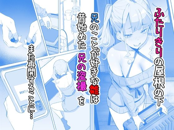 見守りカメラでお兄を視てたらあたしも視られてた話【ねぐろ堂】【飯島らると】 画像2