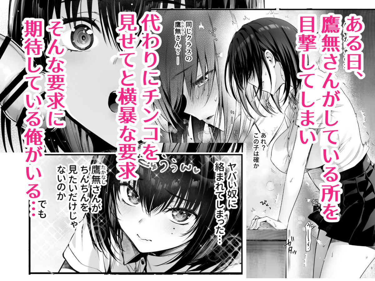 ぼくはキミの性処理道具【ねこはまんまがうつくしい】【Hisasi】 画像1
