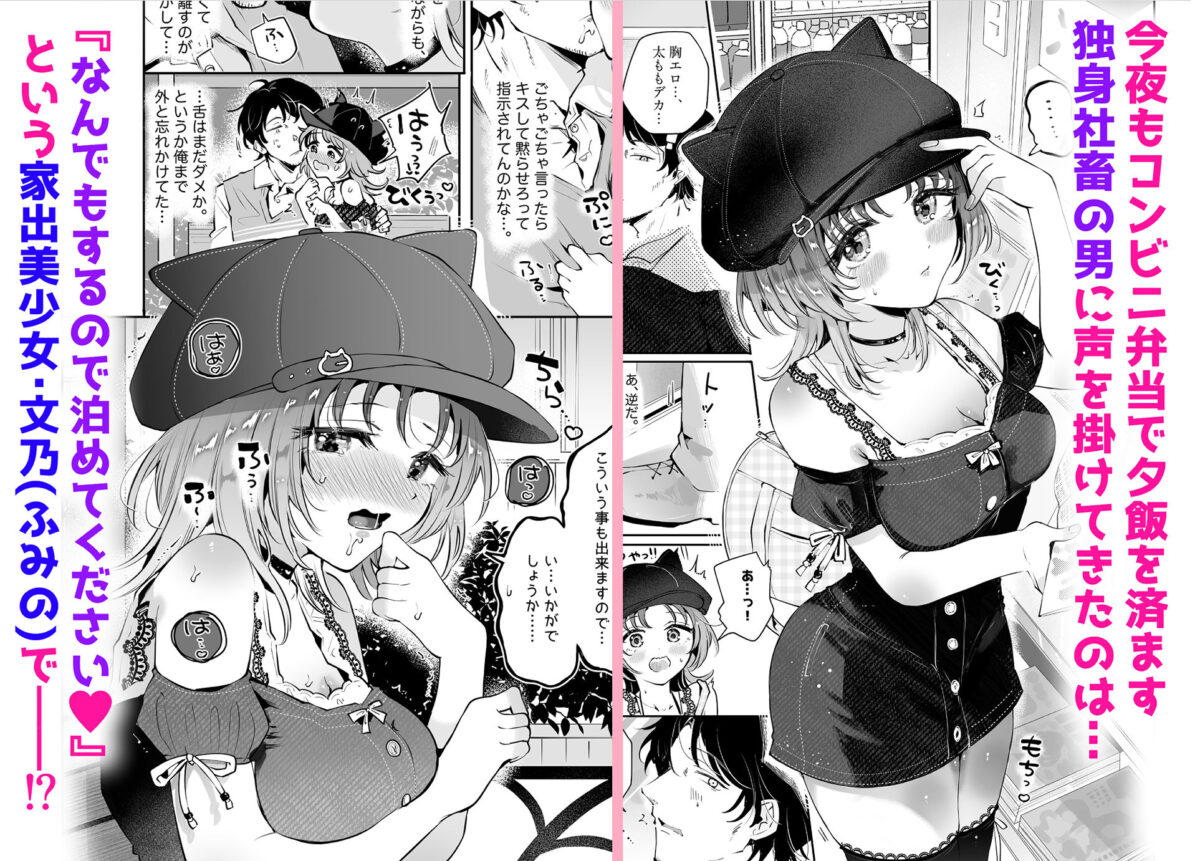 家出美少女〇〇を生オナホとして飼う話〜迷い猫の拾い方〜【漫画喫茶瀬戸（瀬戸涼子）】 画像1