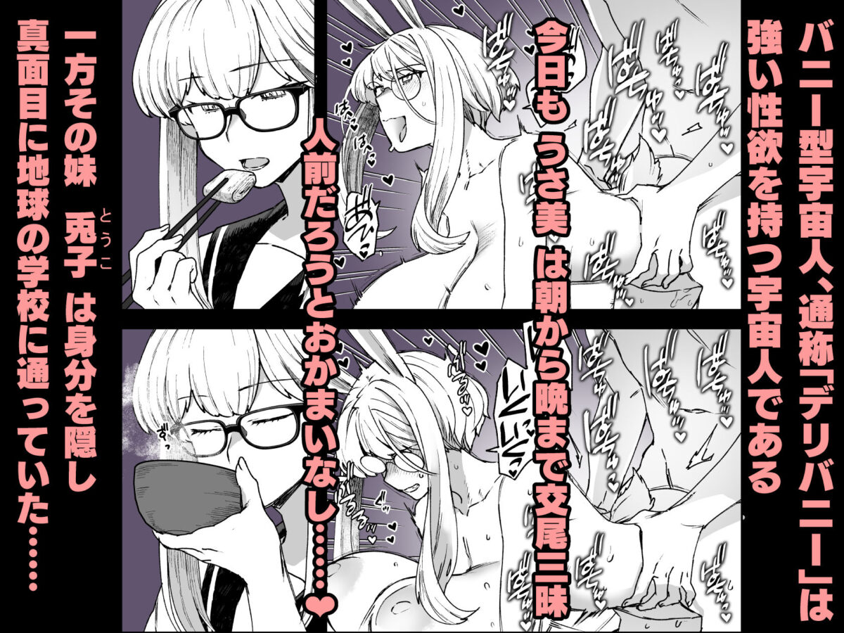 Delibunny vol.3【サヨナラホーネット】【ヨシラギ】 画像1