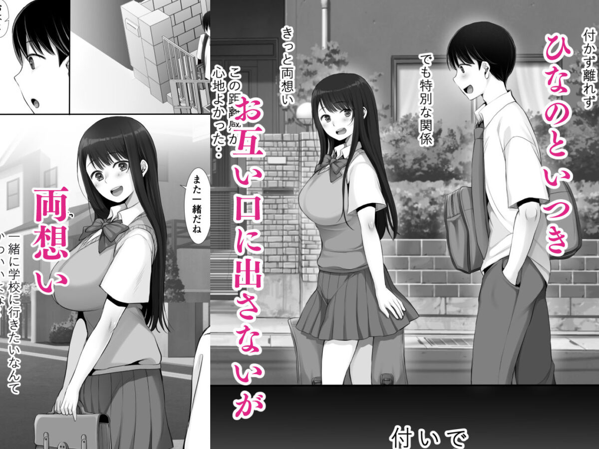 両想いだった幼馴染姉妹がホームステイ中の留学生にオナホ代わりにされてSEX大好き中イキメスにされてた話Reboot【きれいなお姉さんは好きです会】 画像2