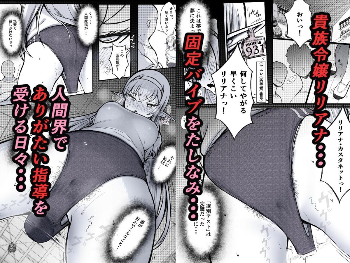 没落貴族エルフ令嬢 ブルマ固定バイブ指導【固定概念】【柚宮MoNo】 画像1